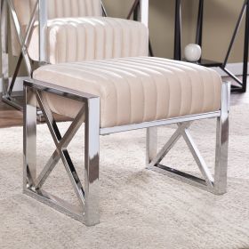 Ellison Velveteen Ottoman â€šÃ„Ã¬ Champagne w/ Chrome