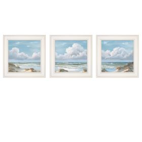 Trendy Decor 4U "Beautiful Day I; II; III" Framed Wall Art; Modern Home Decor 3 Piece Vignette for Living Room; Bedroom & Farmhouse Wall Decoration by