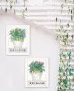 "Succulents-Dream & Believe" 2-Piece Vignette by Cindy Jacobs; Ready to Hang Framed Print; White Frame