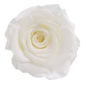 Household Fashion Simple Rose Perianth Diy Material (Color: White)