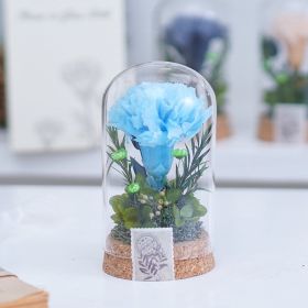 Mother's Day Gift Carnation Wishing Bottle Dandelion Preserved Fresh Flower Material Package (Option: Sky Blue Carnation)