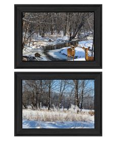"Great Outdoors-Nature/Winter Forest" 2-Piece Vignette by Trendy Decor 4U; Ready to Hang Framed Print; Black Frame (Color: as Pic)