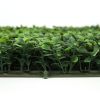 Simulation Lawn Milan Grass(400 Density) XH